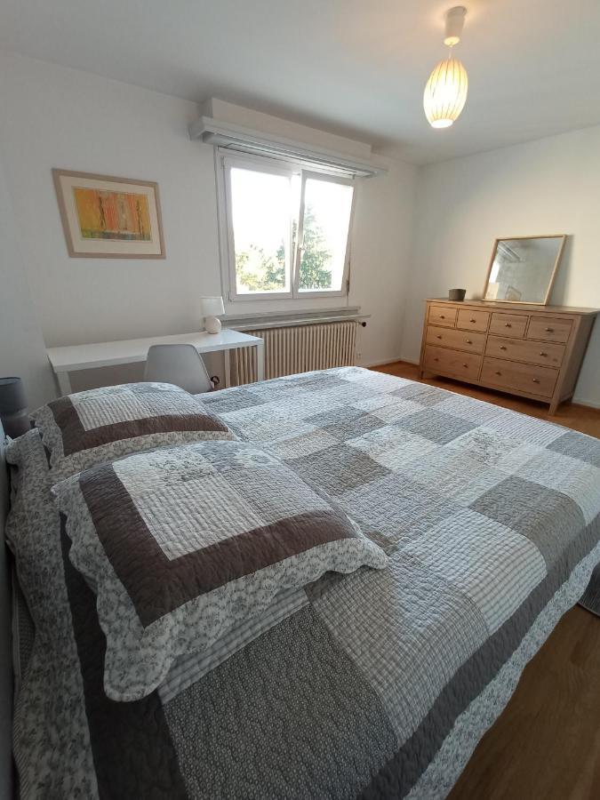 Rare A Colmar - Appartement Champ De Mars Vue Sur Parc - 70M2 - 2 Chambres Eksteriør bilde