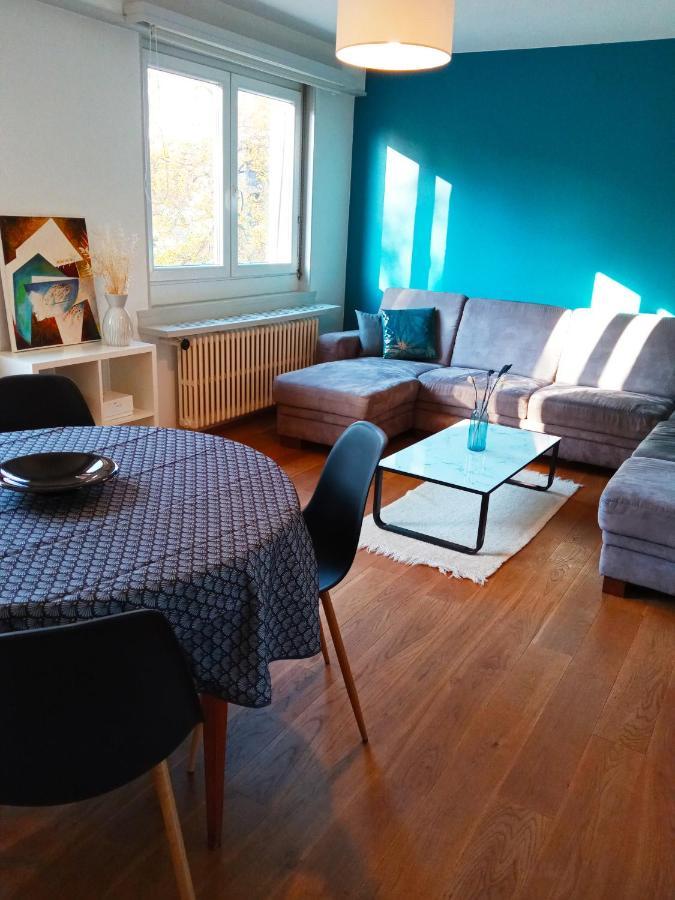 Rare A Colmar - Appartement Champ De Mars Vue Sur Parc - 70M2 - 2 Chambres Eksteriør bilde