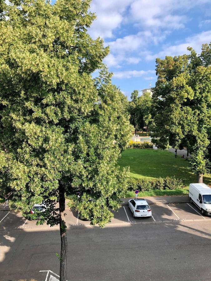 Rare A Colmar - Appartement Champ De Mars Vue Sur Parc - 70M2 - 2 Chambres Eksteriør bilde