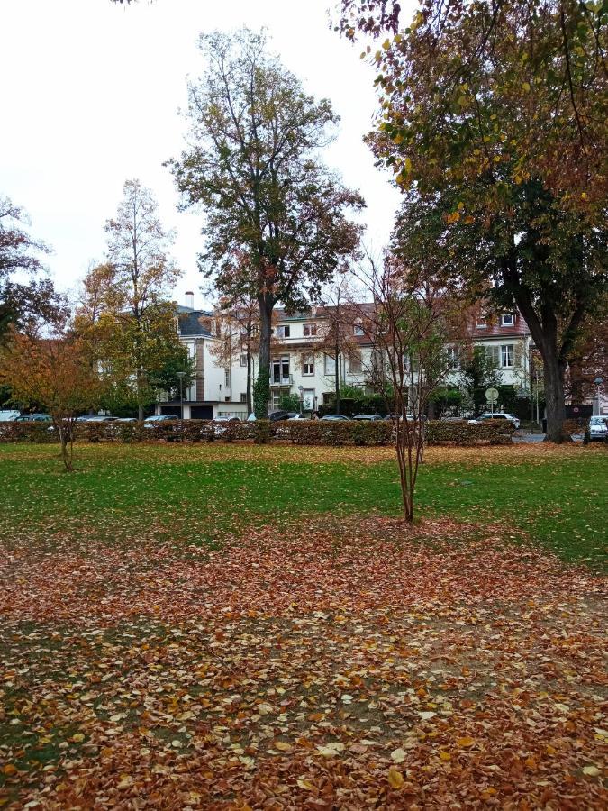 Rare A Colmar - Appartement Champ De Mars Vue Sur Parc - 70M2 - 2 Chambres Eksteriør bilde