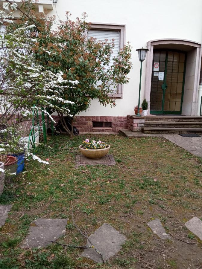 Rare A Colmar - Appartement Champ De Mars Vue Sur Parc - 70M2 - 2 Chambres Eksteriør bilde